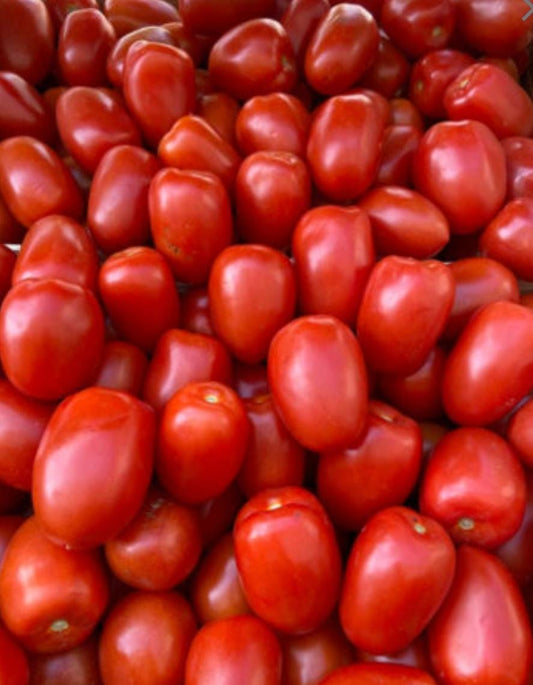 Tomate de cocina