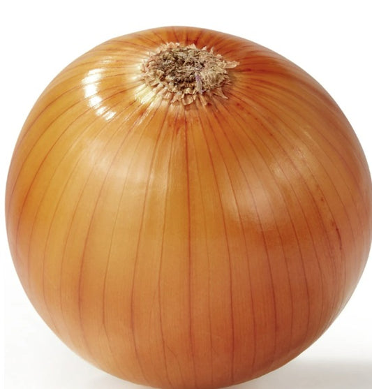 Cebolla Amarilla